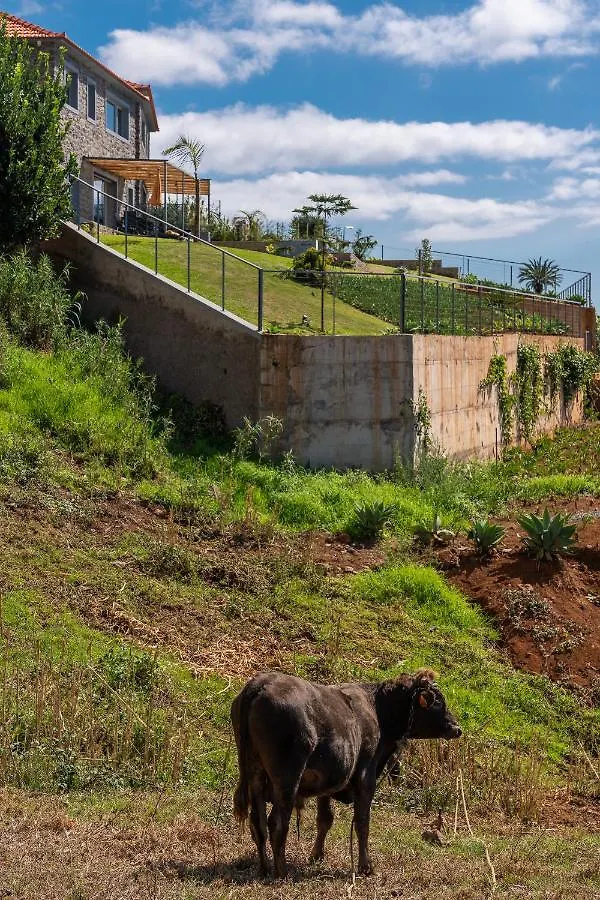 Villa Fauna - Nature & Tranquility - Heated Pool Optional Prazeres 0*,